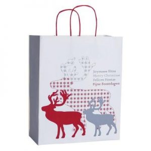 corporate-gift-bag-kraft-nordic-white