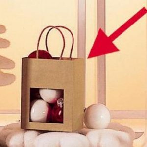 the-gift-this-bag-is-grown-twisted-handles