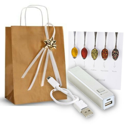 business-gift-gift-pack-mobile-battery-pack