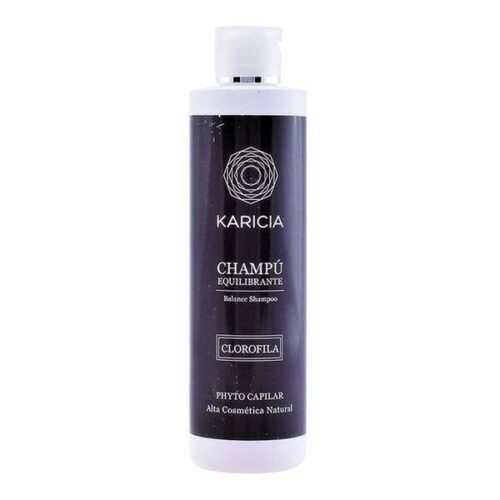 Cadeau Noël homme shampooing karicia