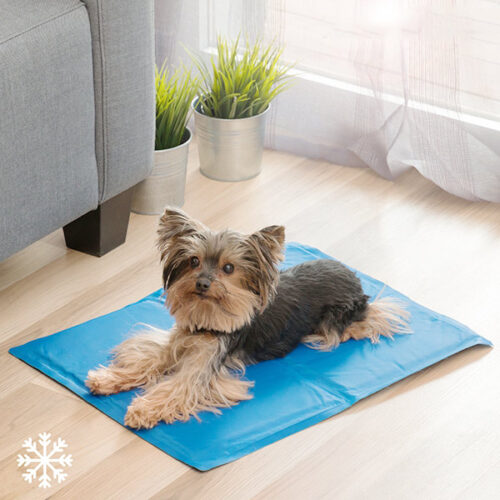 cadeau-original-tapis-refroidissement-animaux