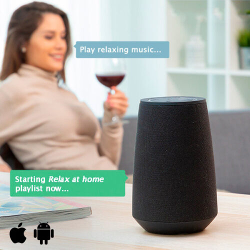 cadeau-papa-haut-parleurs-bluetooth-assistant-vocal-innovagoods