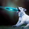 idee-cadeau-frisbee-led-multicolore-vert