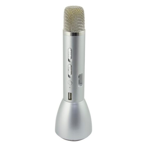 gift-gift-idea-microphone-karaoke-sing-and-go