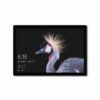 tablette-tactile-microsoft-surface-pro-256go-cadeaux-et-hightech-pas-chers