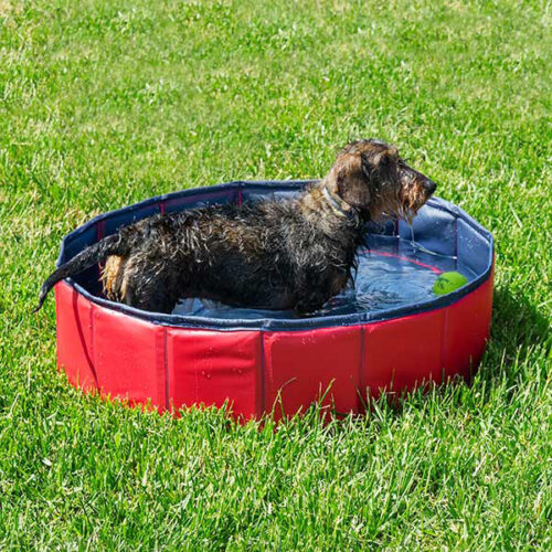 gift-gift-mom-pool-pets