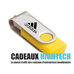 cle-usb-publicitaire-jarod-2-go-jaune