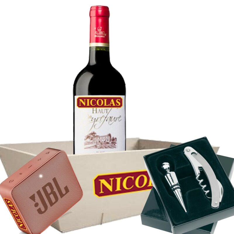 Coffret cadeau entreprise JBL GO 2 rose et vin