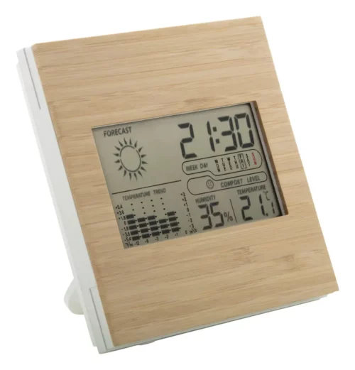 advertising-object-meteo-and-numeric-clock-with-panel-before-bamboo