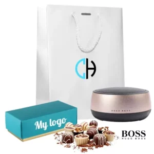 Haut parleur Hugo Boss GEAR luxe champagne