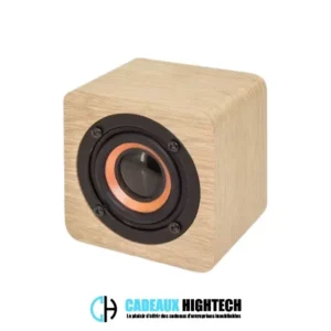 Customisable ECO speaker